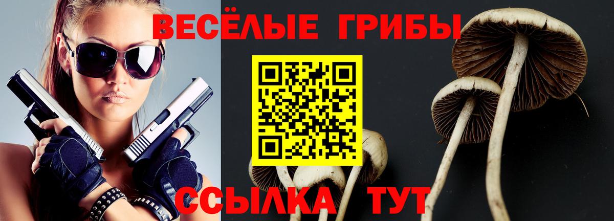 Псилоцибиновые грибы Cubensis Черняховск