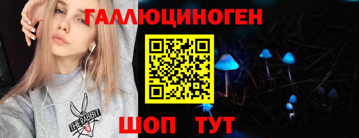 Галлюциногенные грибы Cubensis  Вход с VPN  Черняховск 